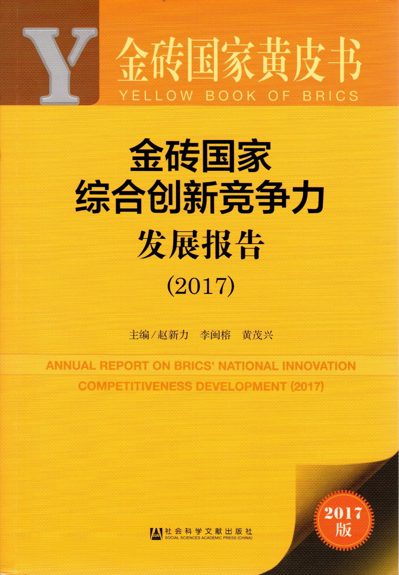 大黑吊鸡巴玩亚洲少妇金砖国家综合创新竞争力发展报告（2017）